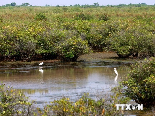 地球環境に関する対話 - ảnh 1