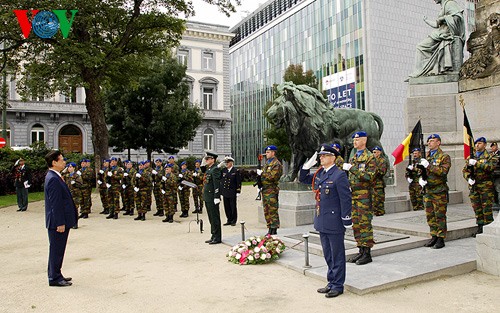 各国新聞、ズン首相の欧州歴訪を伝える - ảnh 1