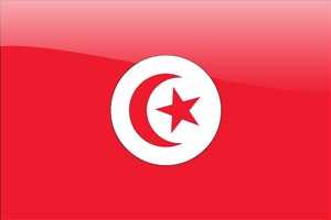 チュニジア:議会選挙イスラムと世俗、第１党狙い激戦 - ảnh 1