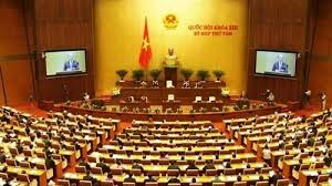 国会で3件の法案を討議 - ảnh 1