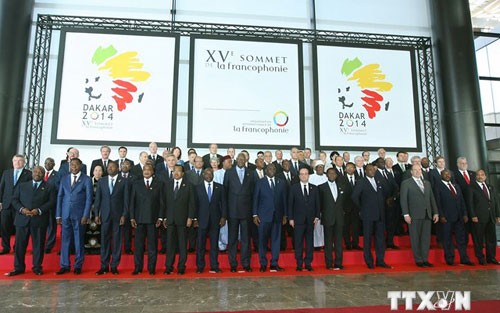 ゾァン国家副主席、フランコフォニー首脳会議の開会式で演説 - ảnh 1