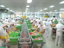 アセアン水産物連盟のウエブサイトが開設される - ảnh 1