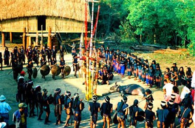 バナ族の水牛供犠祭り  - ảnh 2