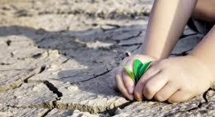 気候変動対応に関するベトナムの公約履行 - ảnh 1