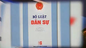 民事法改正案に対する人民の意見集約計画を発布 - ảnh 1