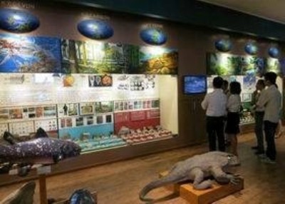 ベトナム自然博物館建設へ - ảnh 1