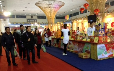 2015年の春祭りが始まる - ảnh 1