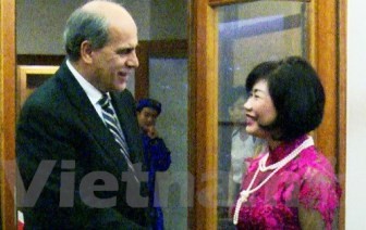 ベトナム・スロバキア外交関係樹立65周年 - ảnh 1