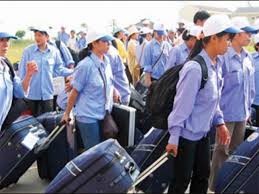 労働者の海外派遣を促進 - ảnh 1