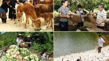 貧困に関する新しい測定基準を設定 - ảnh 1