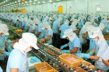 米国、ベトナム水産物の最大輸出市場 - ảnh 1