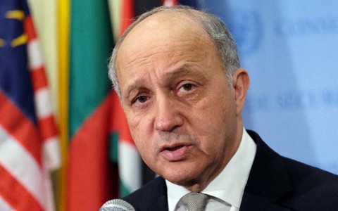 数週間以内に国連決議協議　パレスチナ和平で仏外相 - ảnh 1