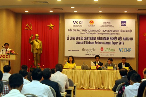 ベトナム企業年次報告書2014を発表 - ảnh 1