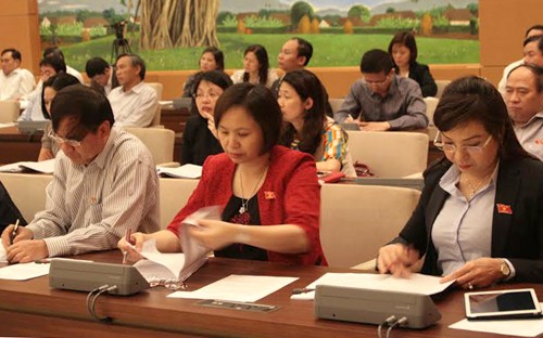 人民評議会の活動効果向上 - ảnh 1