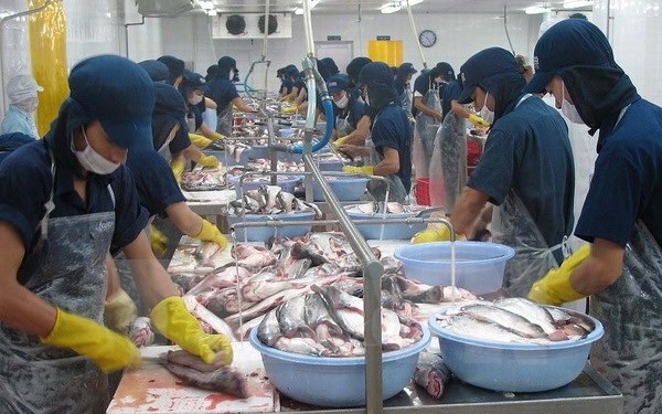  EU向けのベトナムのナマズ輸出に関する座談会 - ảnh 1