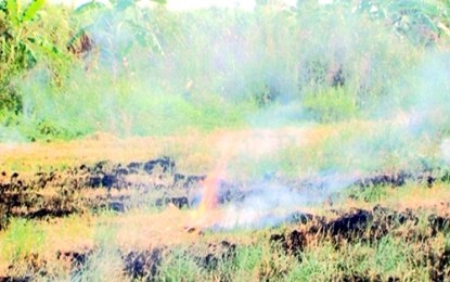 メコンデルタ農業発展の効果向上フォーラム - ảnh 1