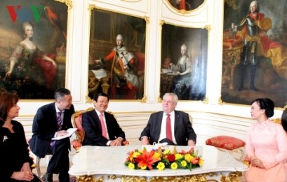 サン国家主席、チェコ大統領と会談 - ảnh 1