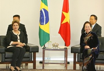 ゾアン国家副主席、ブラジル大統領と会見 - ảnh 1