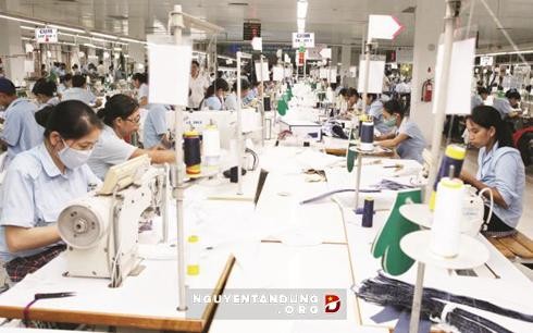 越韓、貿易投資協力を強化 - ảnh 1