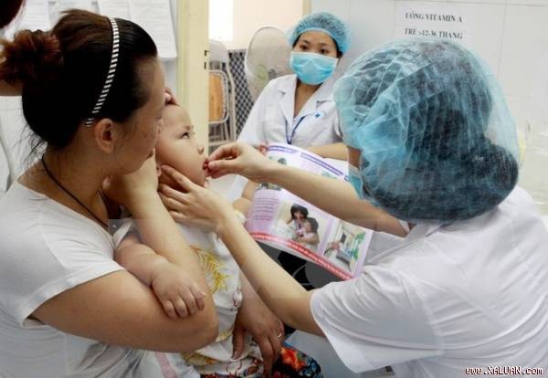 「栄養の日」2015を開始 - ảnh 1