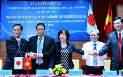 ベトナムのライチ、フランスに輸出される - ảnh 1