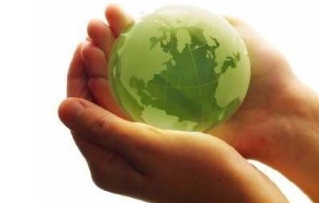 世界環境デーに応える活動 - ảnh 1