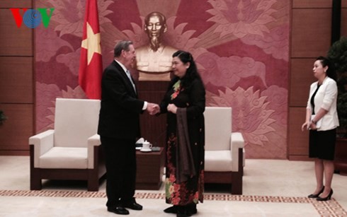 フォン国会副議長 LDSの代表と会見 - ảnh 1