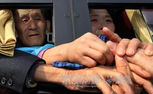 南北離散家族再会へ…赤十字の実務者協議始まる - ảnh 1