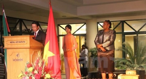 国外でのベトナム独立７０周年を記念する活動 - ảnh 1