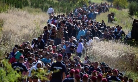 EＵ、難民１２万人受け入れへ…理事会で承認 - ảnh 1