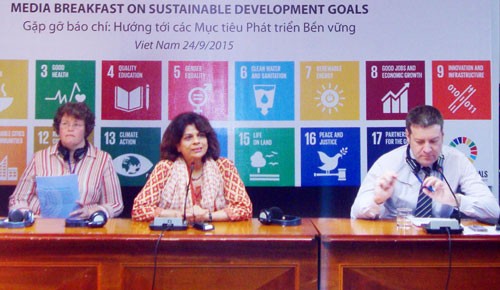 ベトナム、５つのミレニアム開発目標を達成 - ảnh 1