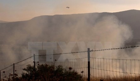 イスラエル軍　シリアへ報復砲撃 - ảnh 1