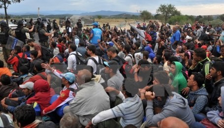 ドイツ政府、難民流入抑制策を承認 - ảnh 1