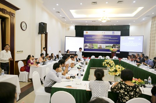 栄養失調危機に陥っている子どもに「栄養補足プログラム」 - ảnh 1