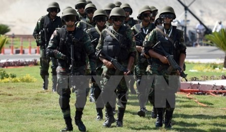 １７日からエジプト議会選、翼賛体制構築か　 - ảnh 1