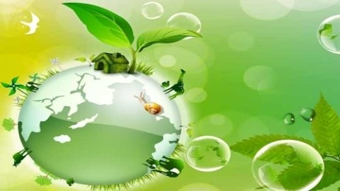 第１３回ASEAN環境大臣会合まもなく、ベトナムで開かれる - ảnh 1