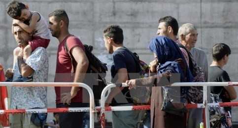 ドイツ財政収支、16年は小幅赤字へ　難民問題で - ảnh 1