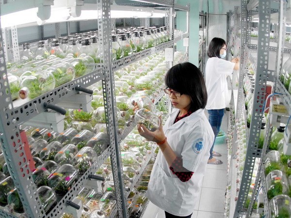 ホーチミン市＆米・サクラメント市、人材育成で協力方向へ - ảnh 1