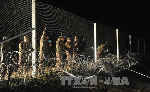 スロベニア 難民など流入制限で国境に障害物設置へ - ảnh 1