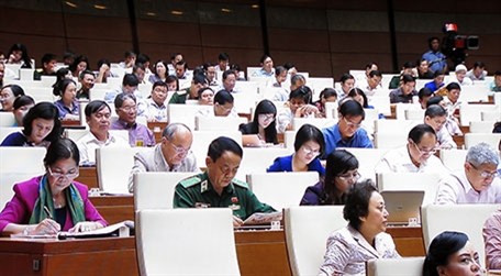 国会で国家目標プログラムへの投資を採択 - ảnh 1