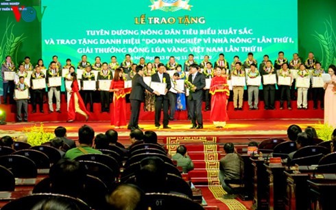 党と国家、農業・農民・農村を重視 - ảnh 1