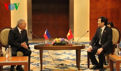 サン国家主席、第23回APEC首脳会議に出席中 - ảnh 1