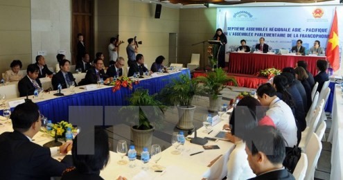 APFアジア太平洋地域の第7回会議が始まる - ảnh 1