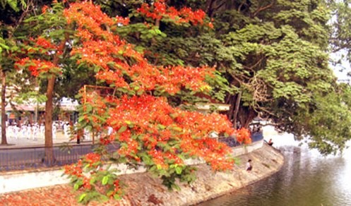 ハイフォン、フエ、HCMCを歌う - ảnh 1