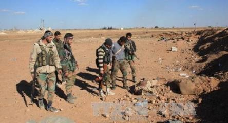 シリア反政府勢力、協議枠組みに合意 - ảnh 1