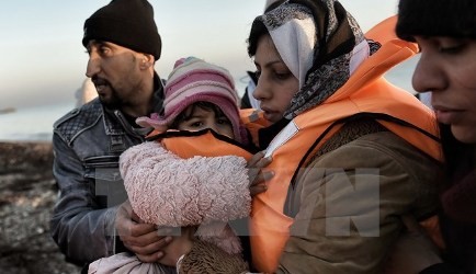 EU、国境管理機関の強化を検討　移民問題深刻化で - ảnh 1