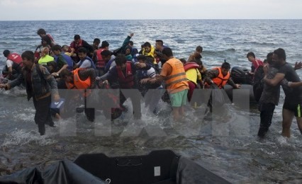 トルコのＥＵ相「シリア難民に労働許可証」　欧州への流入抑制  - ảnh 1