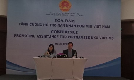 「ベトナムの地雷・不発弾の被害者への支援強化」座談会 - ảnh 1