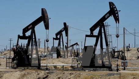 イラン、2月にもEU向け原油輸出再開へ＝政府高官 - ảnh 1