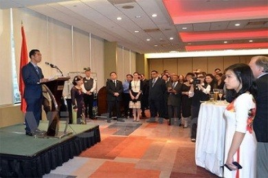 世界の多くの国駐在ベトナム大使館、新春を祝う - ảnh 1